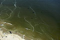 bild093