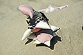 bild099