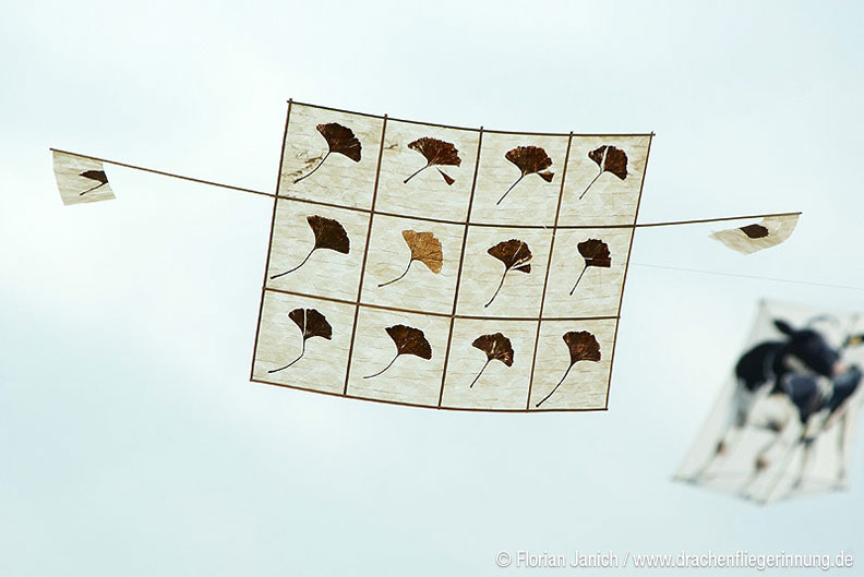 bild017