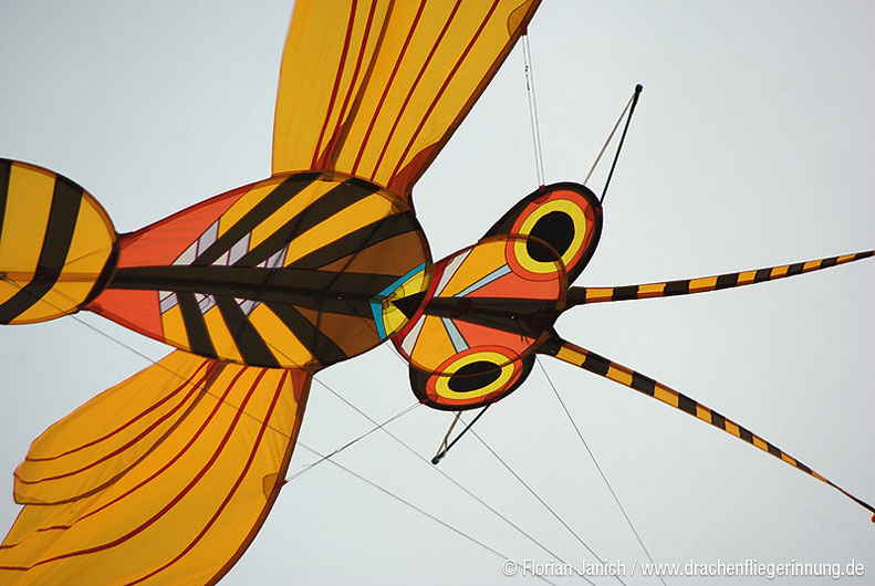 bild025