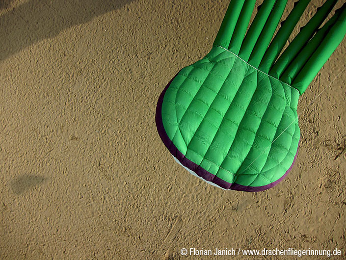 bild118