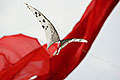 bild007