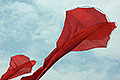bild008