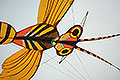 bild025