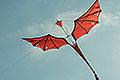 bild047