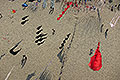 bild055