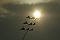bild081