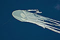 bild089