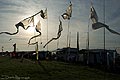 bild003
