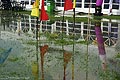bild029