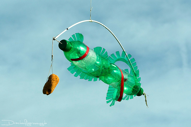bild063
