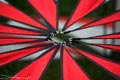 bild019