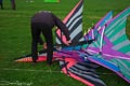 bild038