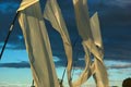 bild045