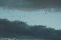 bild049