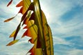 bild059
