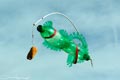 bild063
