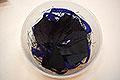 bild020