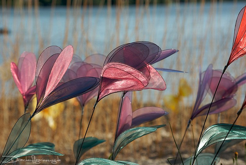 bild018