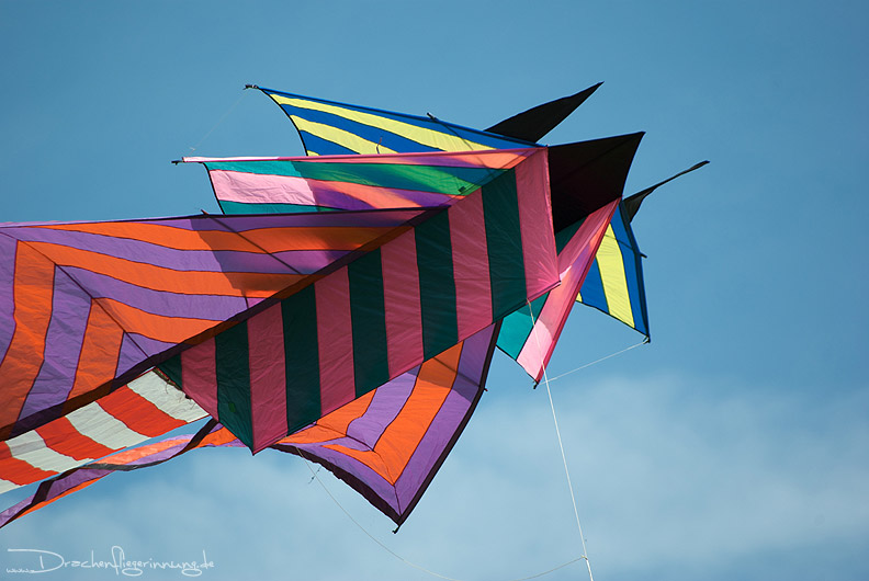 bild009