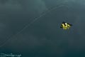 bild040
