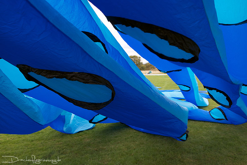 bild029