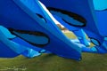 bild029