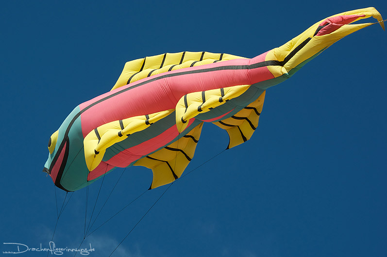 bild011