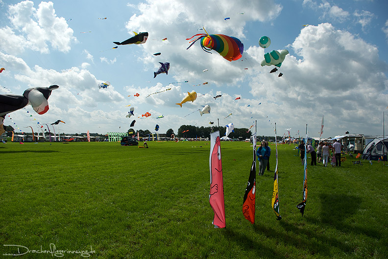 bild003
