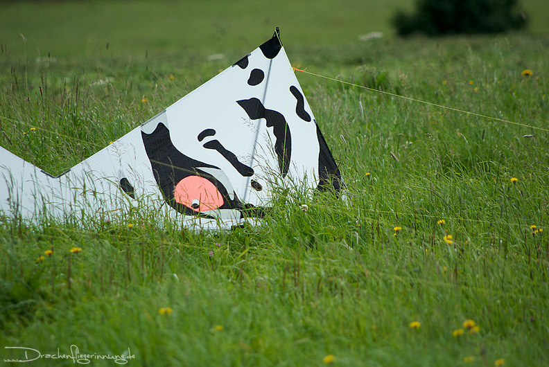 bild009