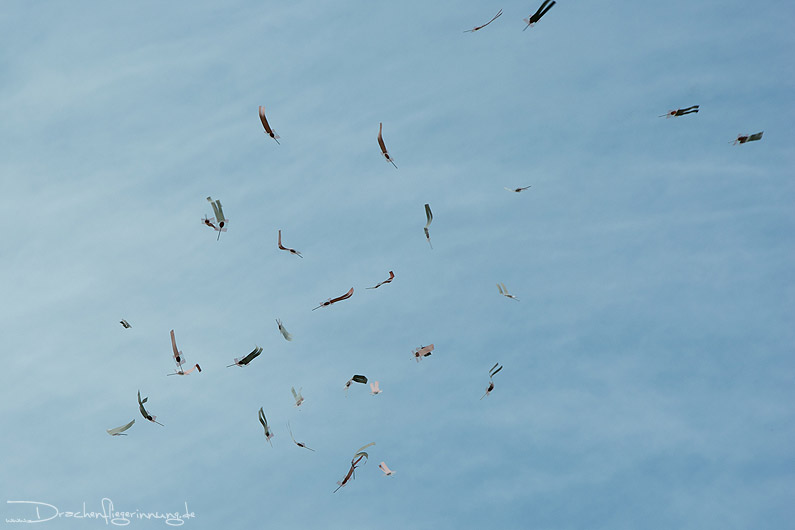 bild010