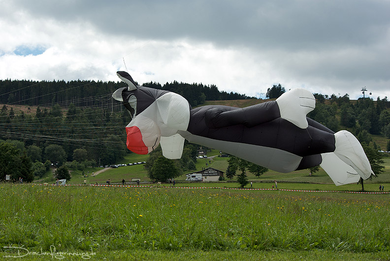bild029