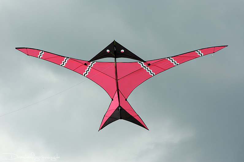 bild031