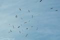 bild010