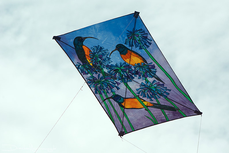 bild022