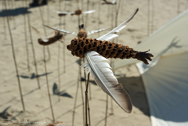 bild047