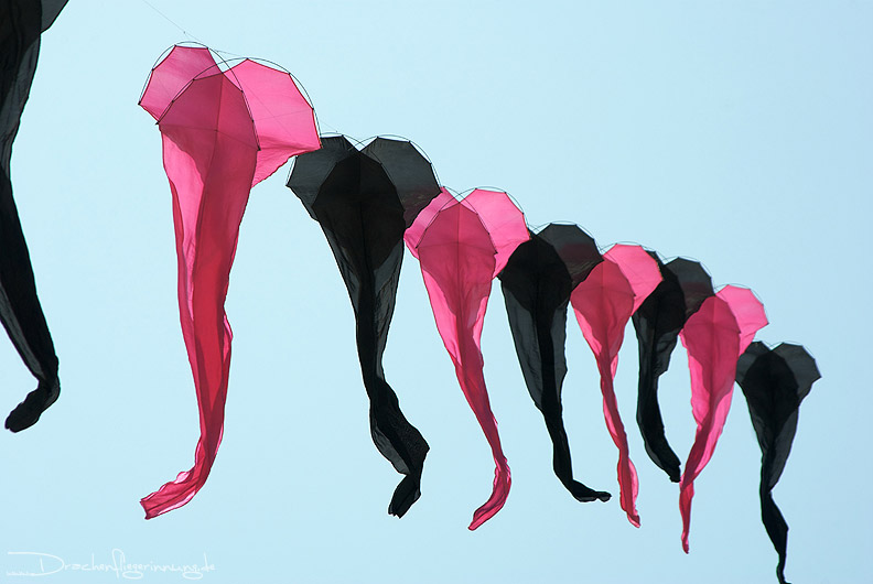 bild066