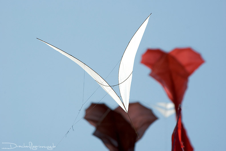 bild067