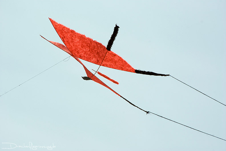 bild078