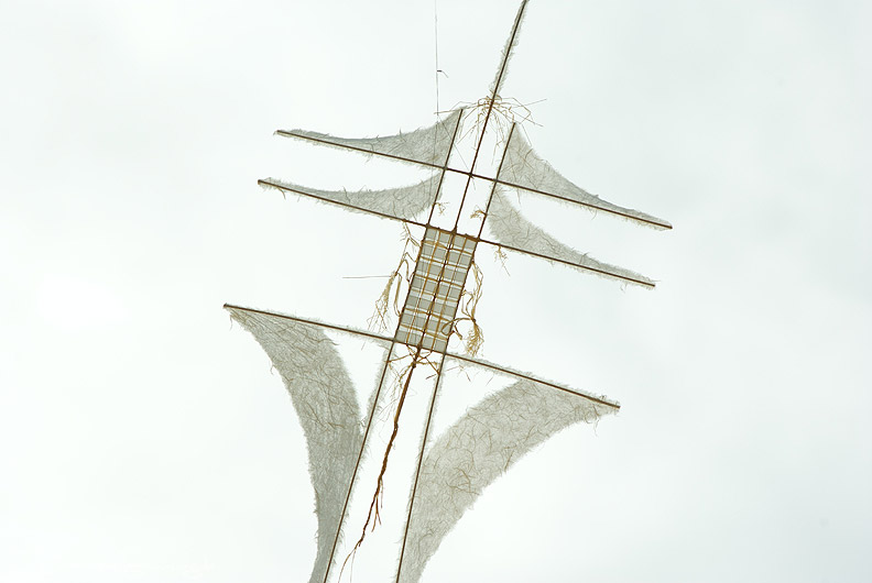 bild081