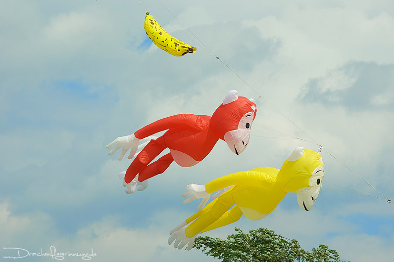 bild014
