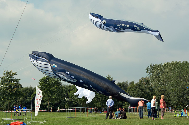 bild035