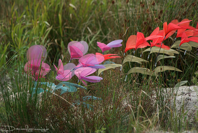 bild042