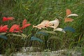 bild043