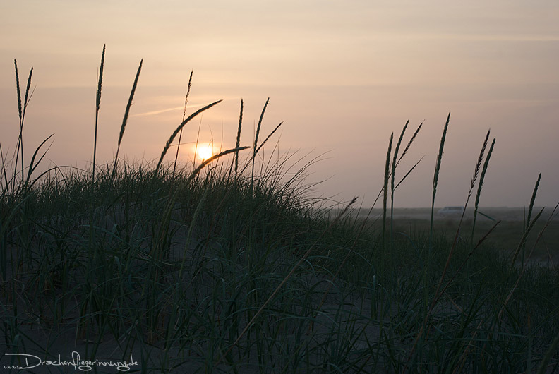 bild077