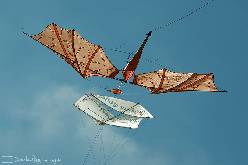 bild130