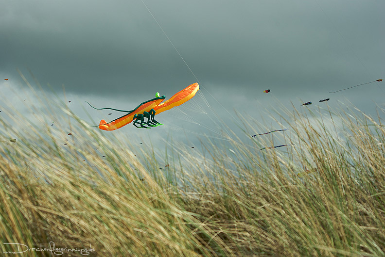 bild131