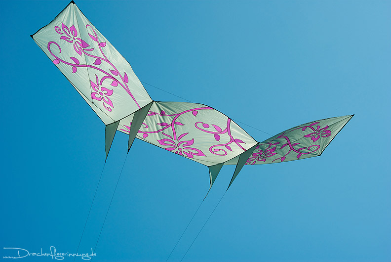 bild008