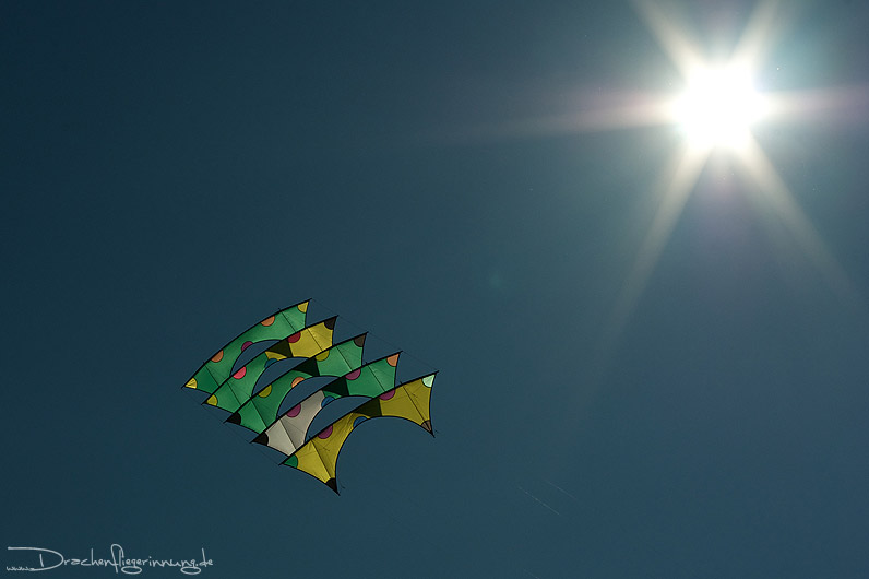 bild033