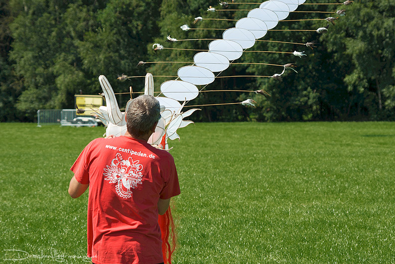 bild065